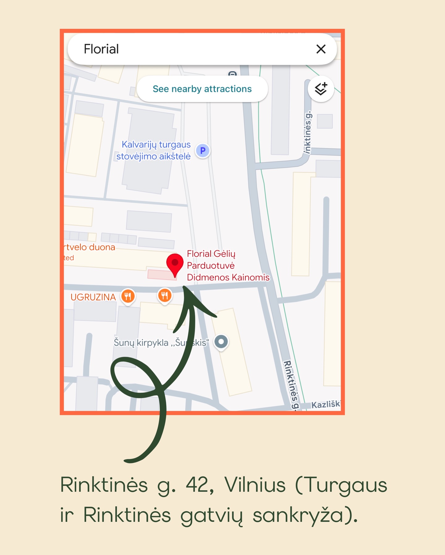 Florial vieta - Rinktinės g. 42, Vilnius