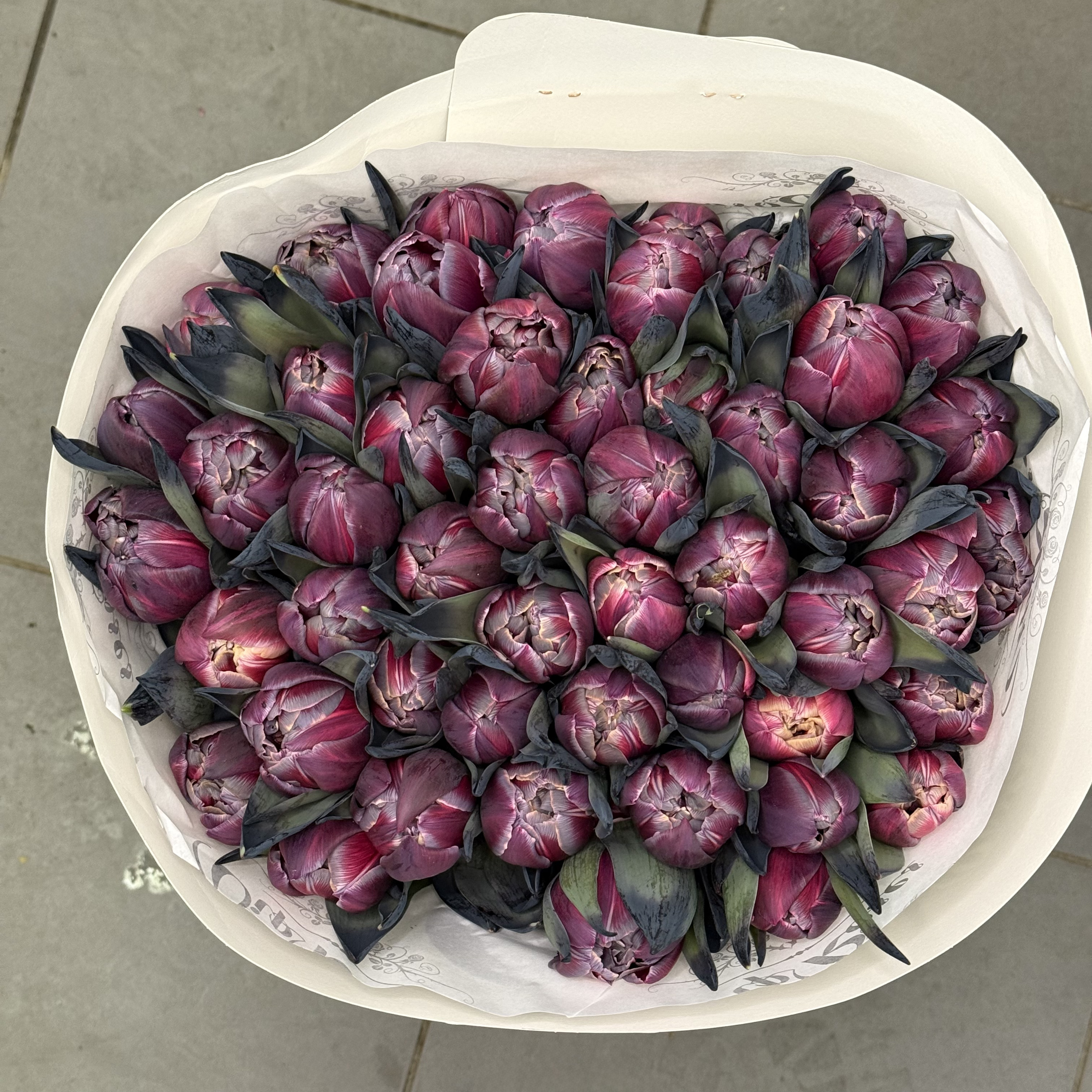 Aksominė naktis - 2