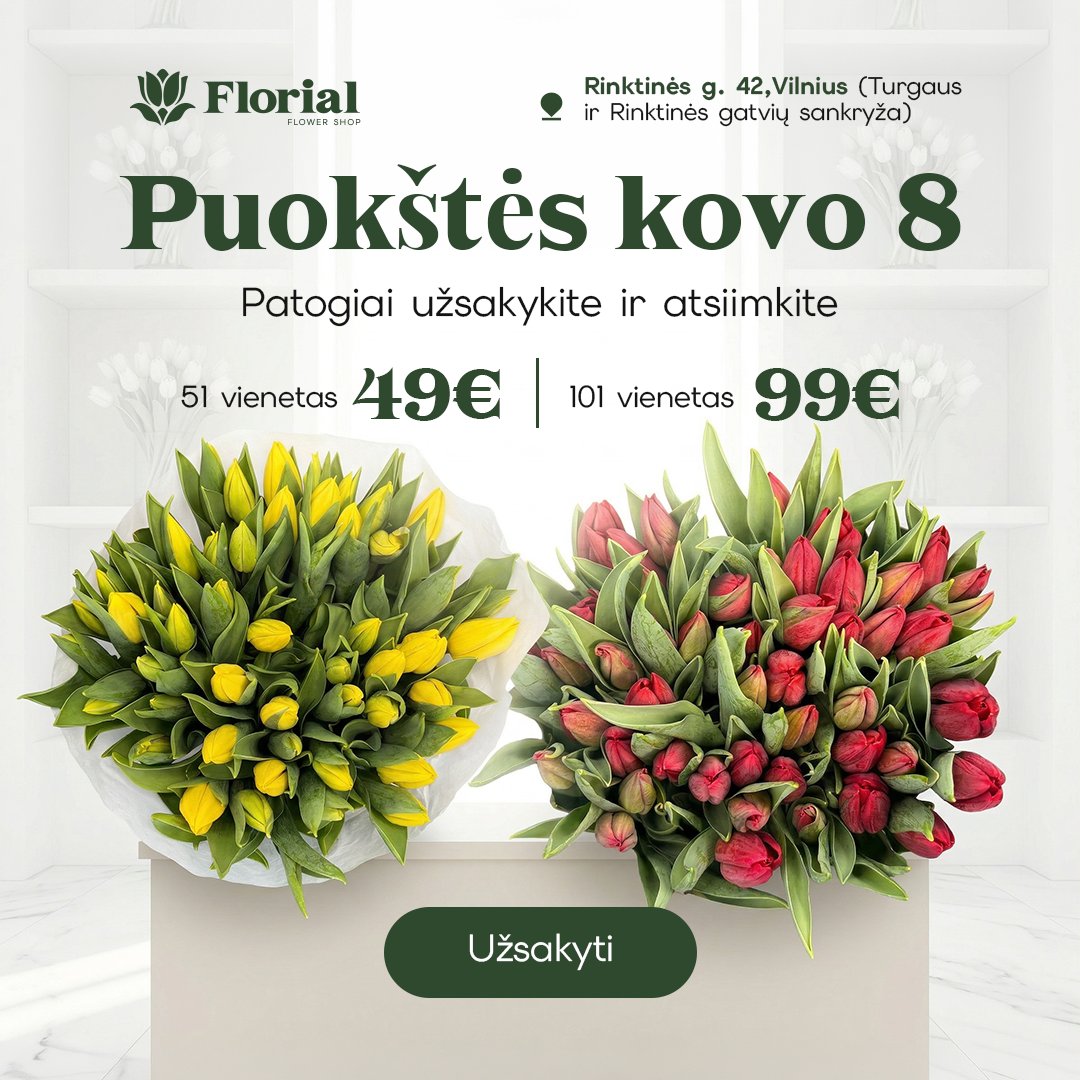 Pavasario žarija — 51 tulpė