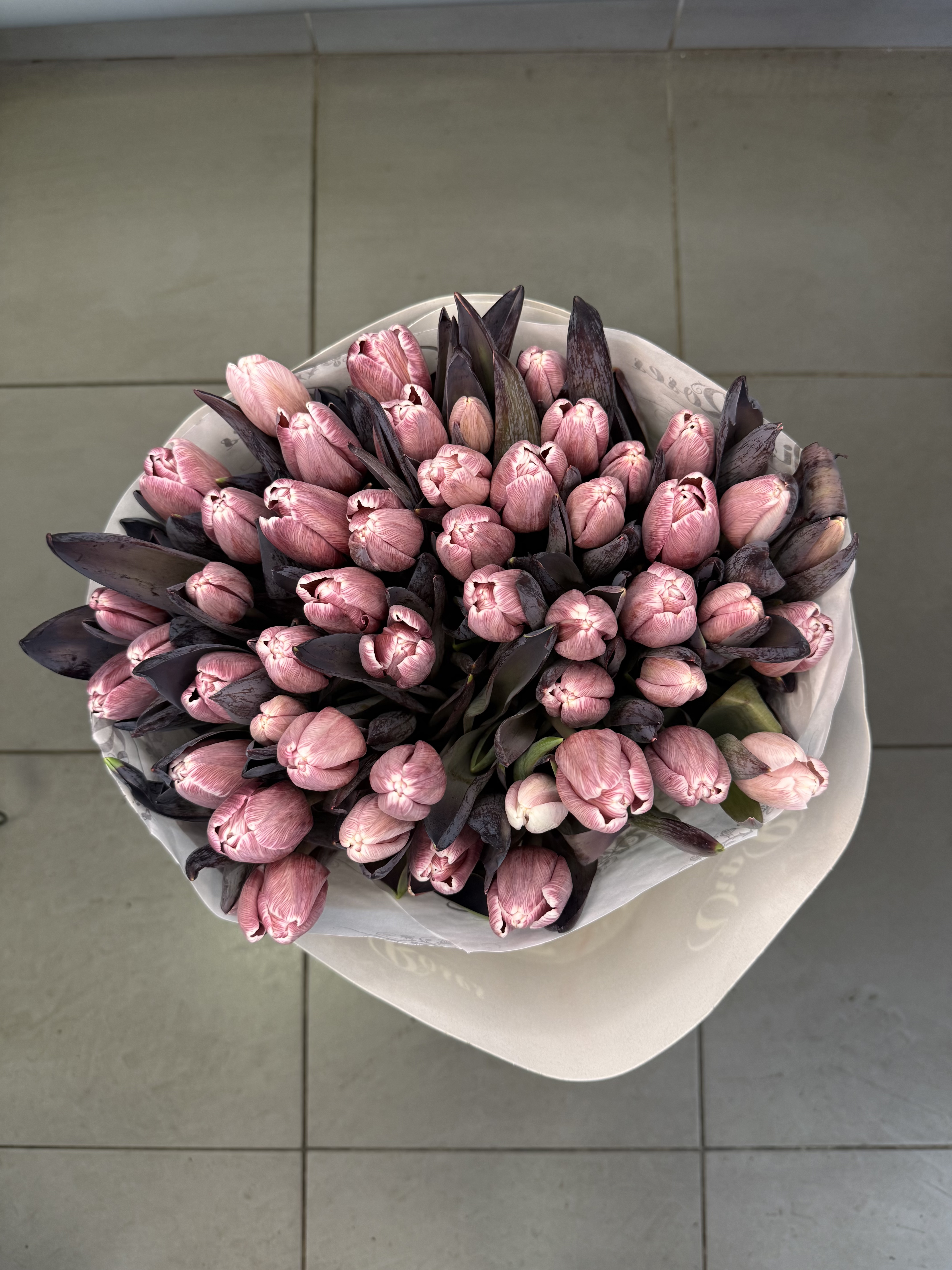 Perlamutrinė elegancija - 2