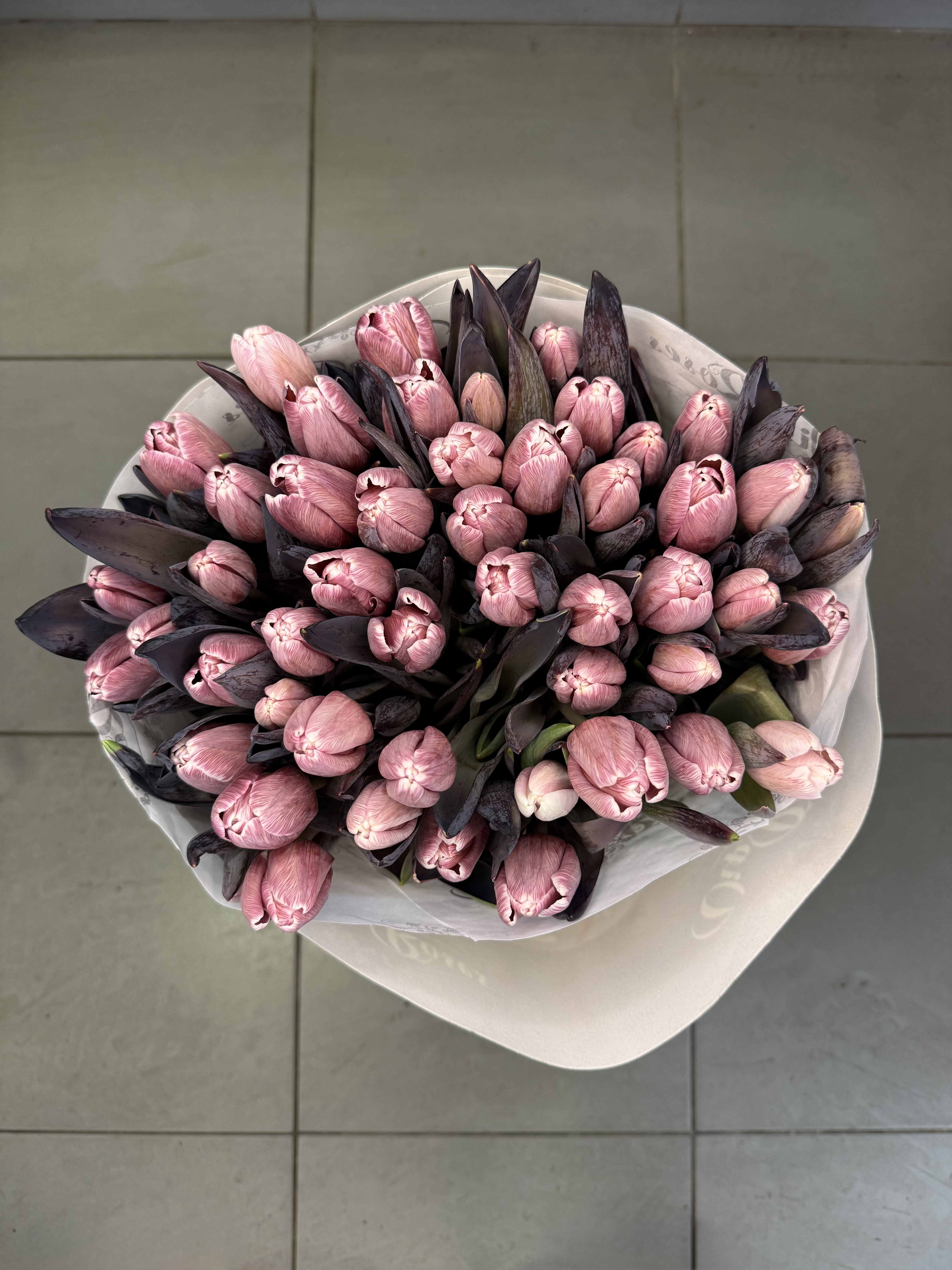 Perlamutrinė elegancija