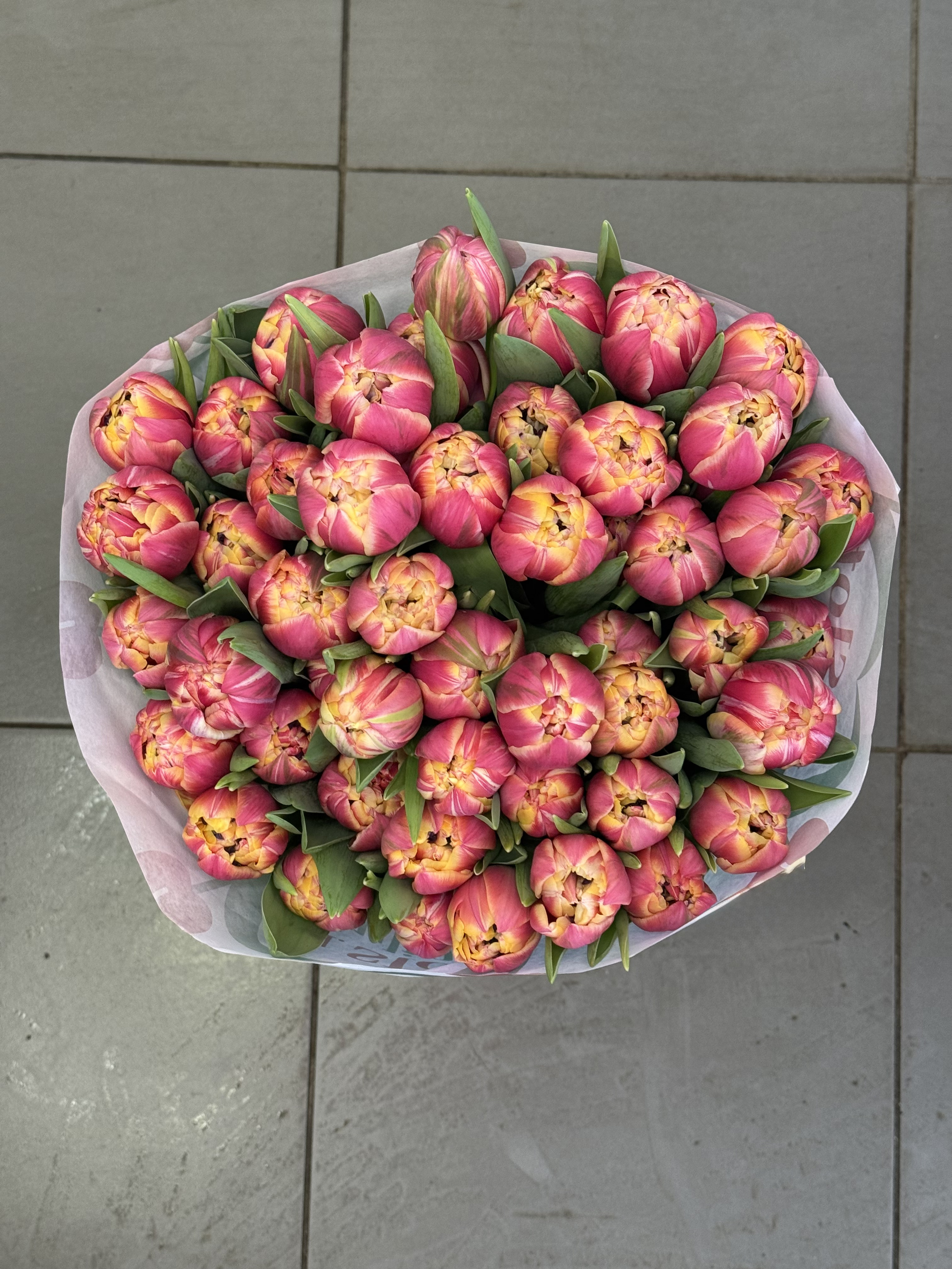 Saulėlydžio atspindys - 2