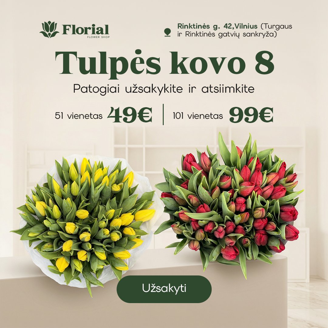 Saulėta nuotaika — 101 tulpė