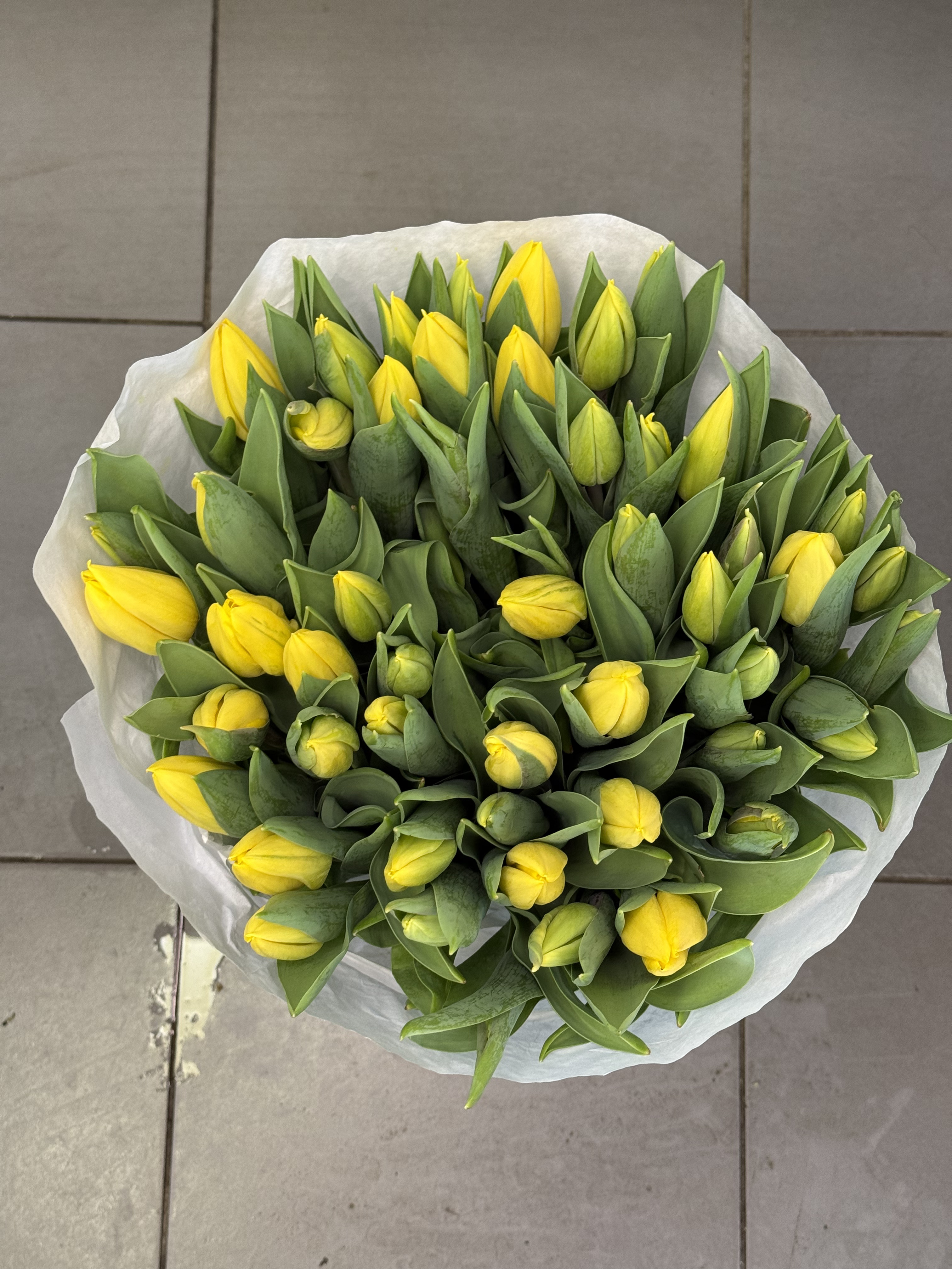 Saulėta nuotaika - 2