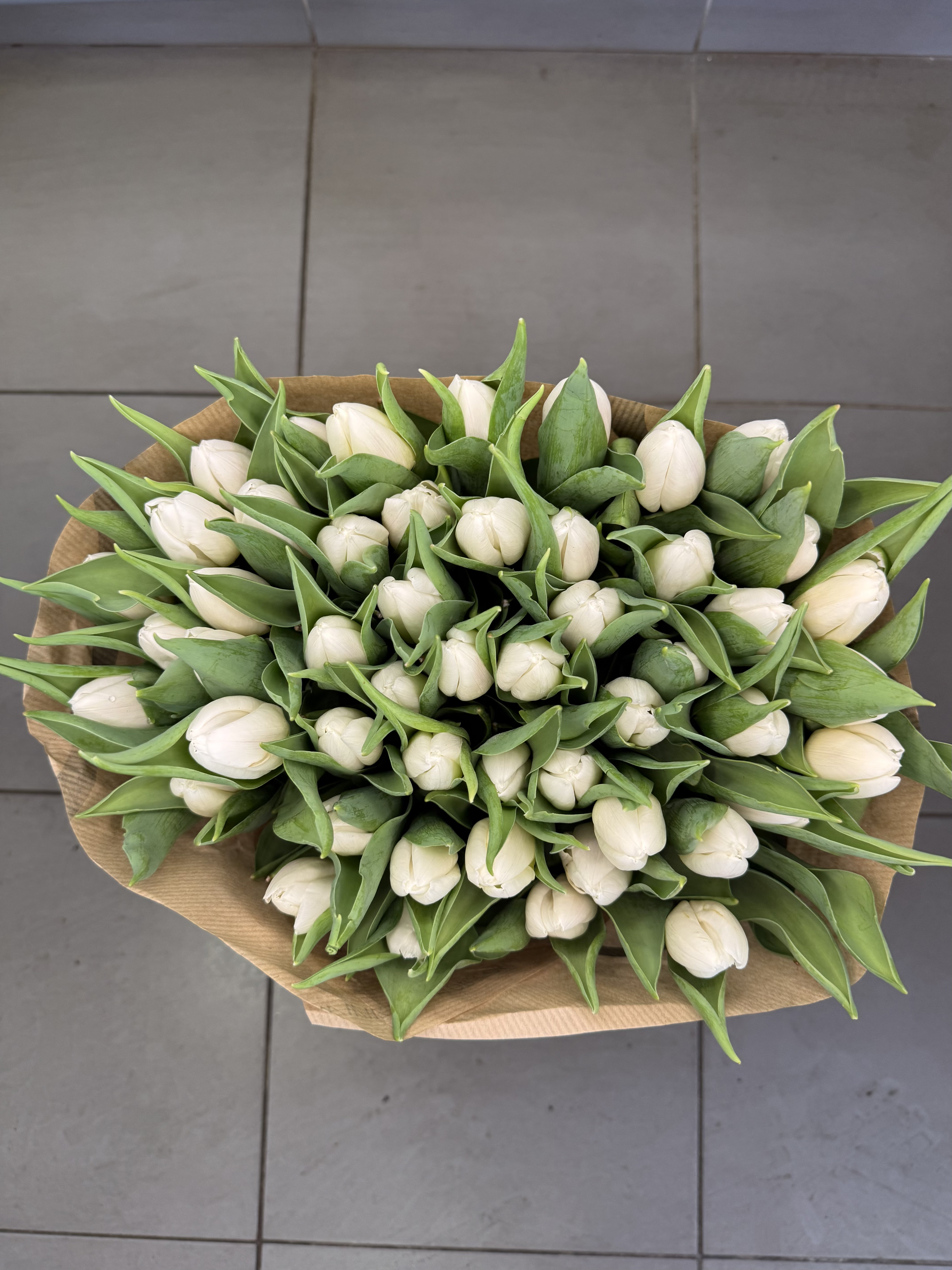 Sniego pėdsakas - 2